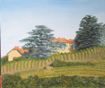 Vignoble sur les bords de Loire au Cellier en Loire Atlantique